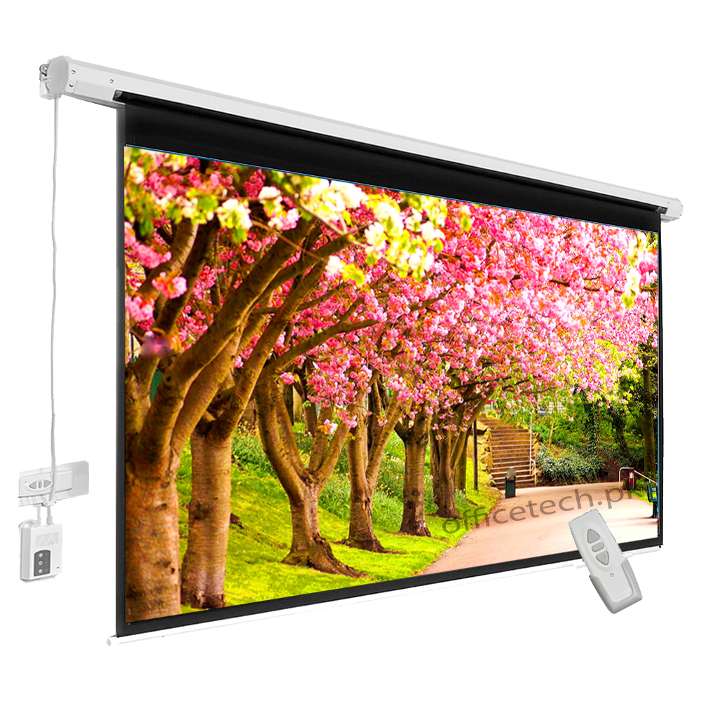 Motorized Screen